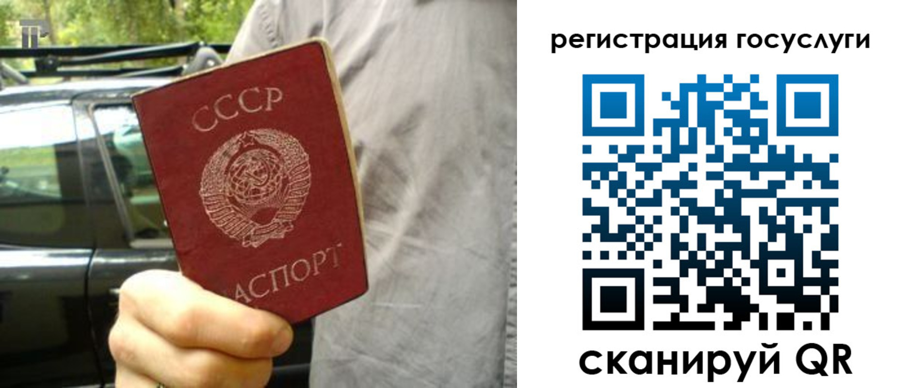 прописка законно в Сольцах